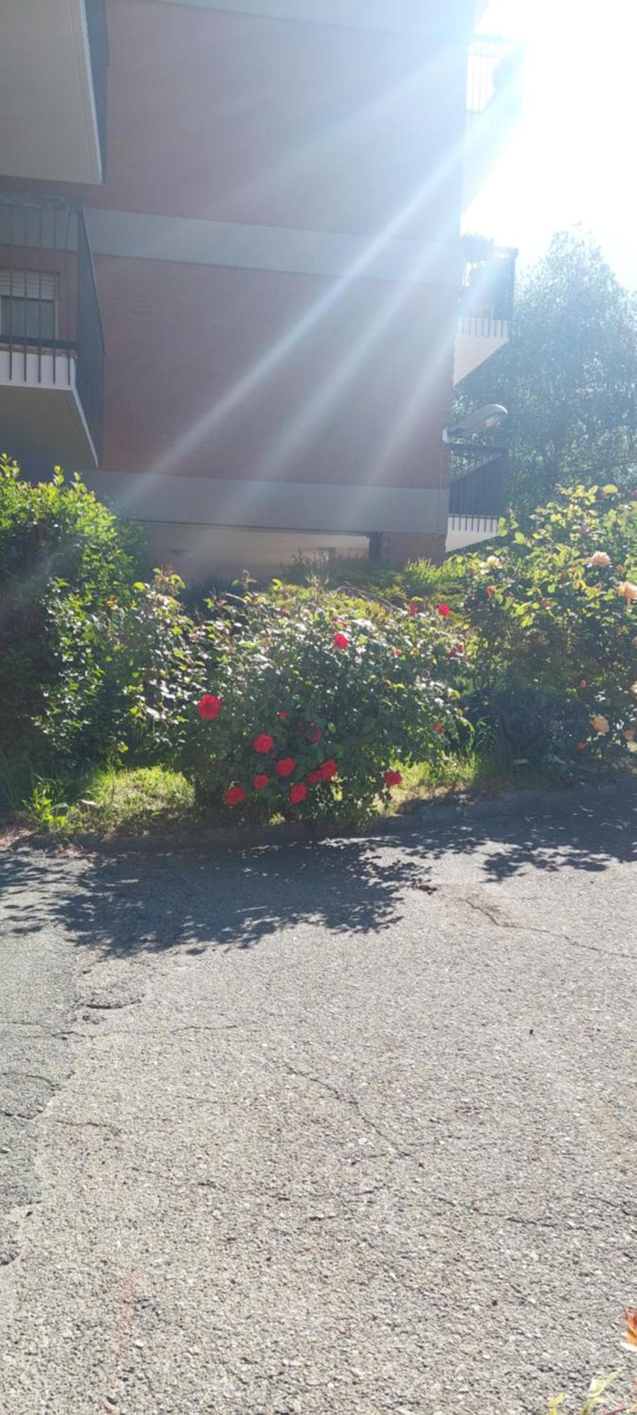 Apartament Il Mughetto Aosta Zewnętrze zdjęcie