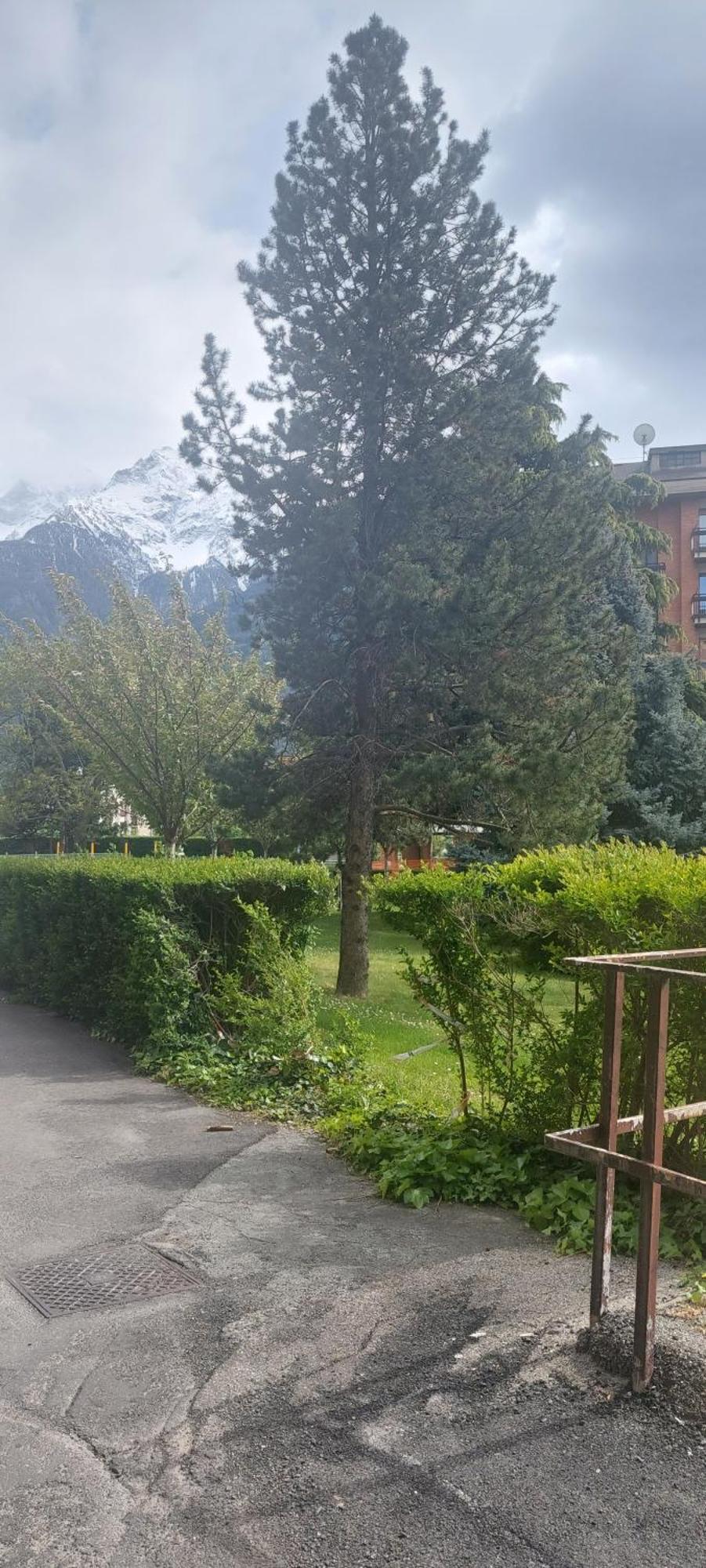Apartament Il Mughetto Aosta Zewnętrze zdjęcie